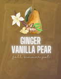 Ginger Vanilla Pear Spice Fall Simmer Pot Bag