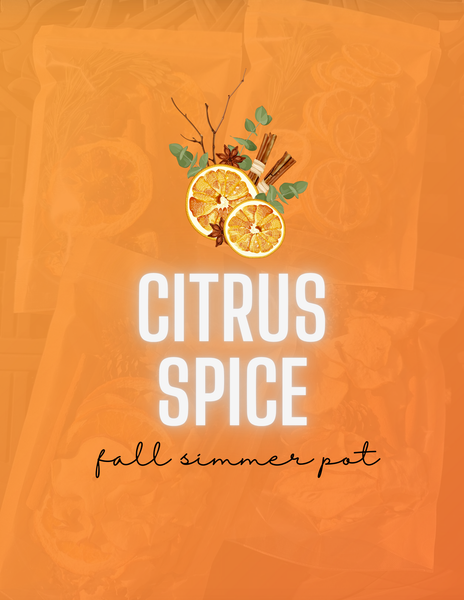 Citrus Spice Fall Simmer Pot Bag