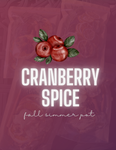 Cranberry Spice Fall Simmer Pot Bag